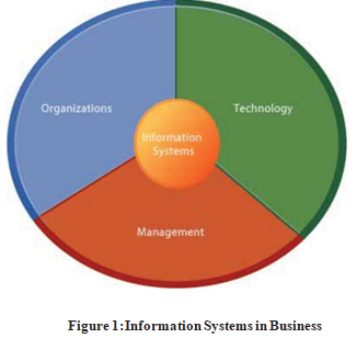 Q50340 What is the role of information systems in business