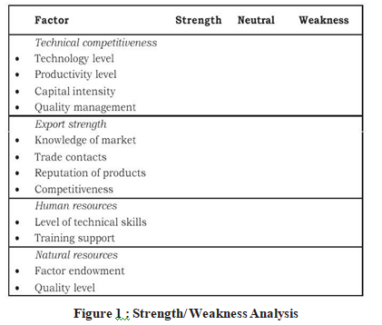 Q50449 What Are The Levels Of Export Promotion Strategies.