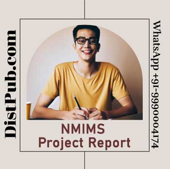 NMIMS project report writing help
